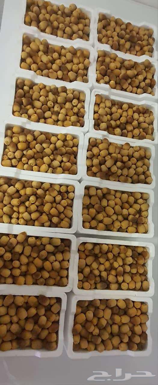 رطب روثانا حبة فاخرة وسمن غنم أصلي 5كيلو63708123388801110