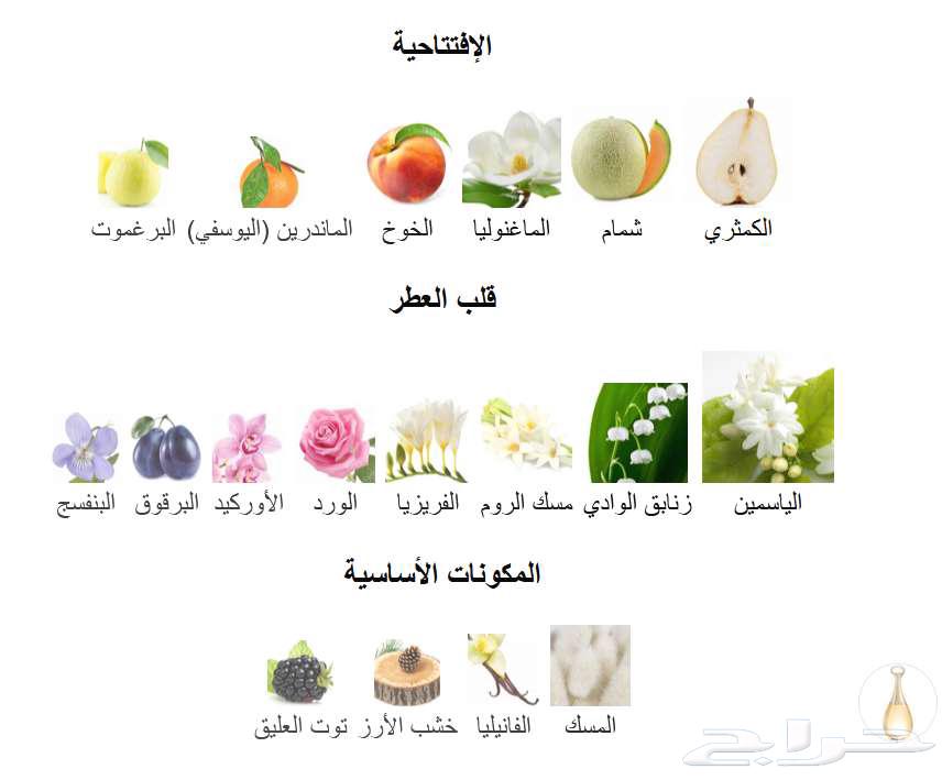 عينة عطر مس ديور و عينة عطر جادور من ديور63619460881667114