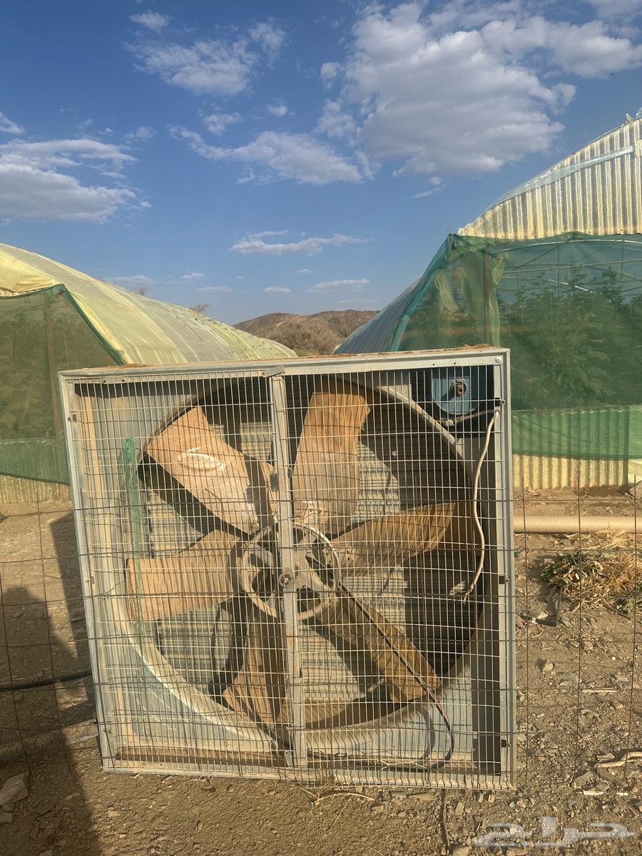 Greenhouse Fans63713115751427113