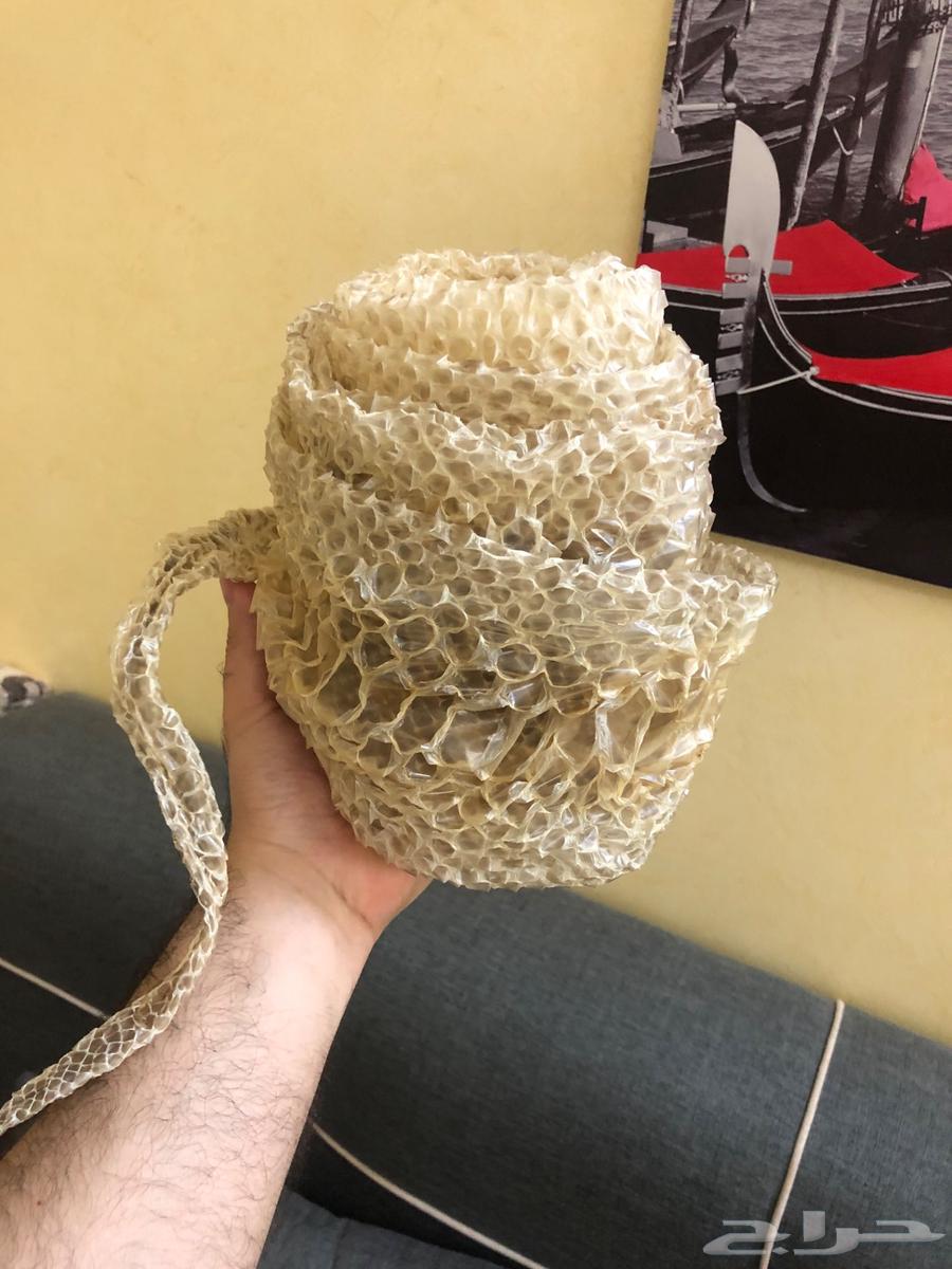 Huge python skin jacket63717334918403111