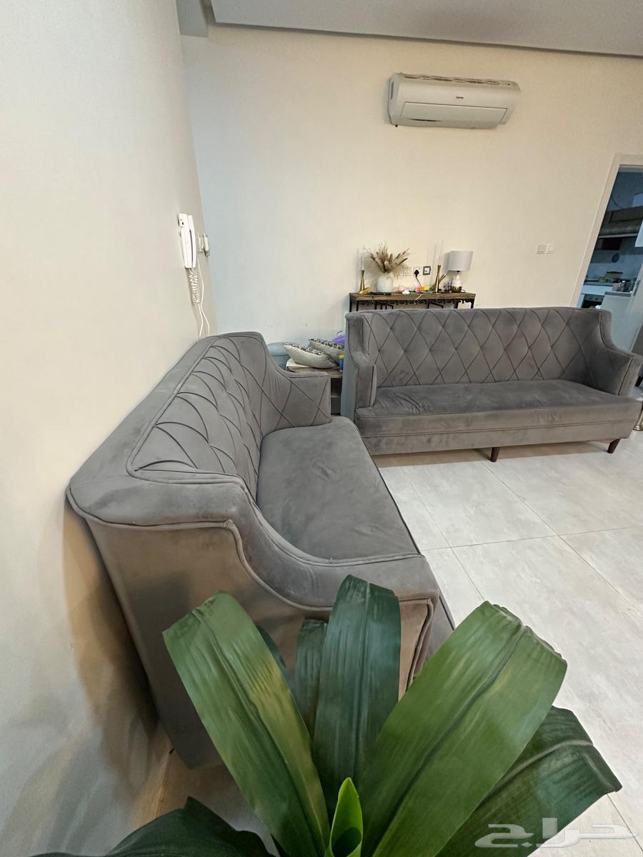 كنب رمادي للبيع63717435630083113