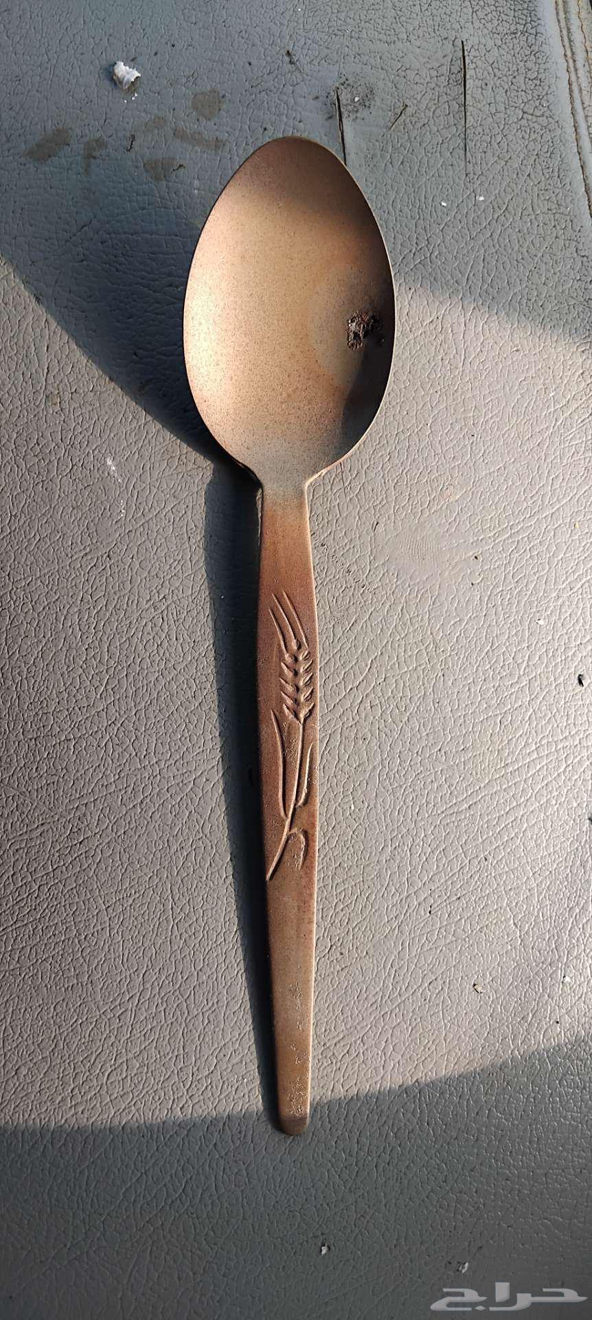 Old sparrow spoon63720306499201110