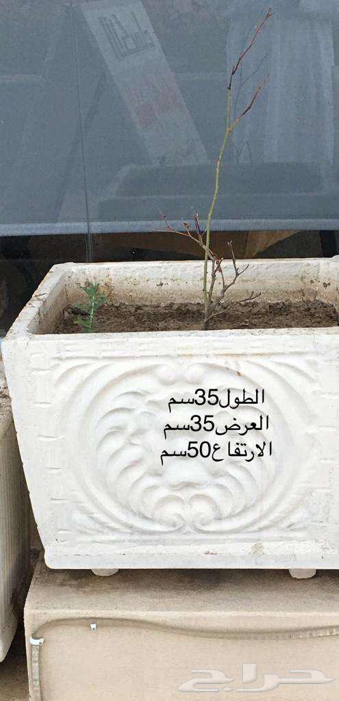 احواض زرع63733211350914113