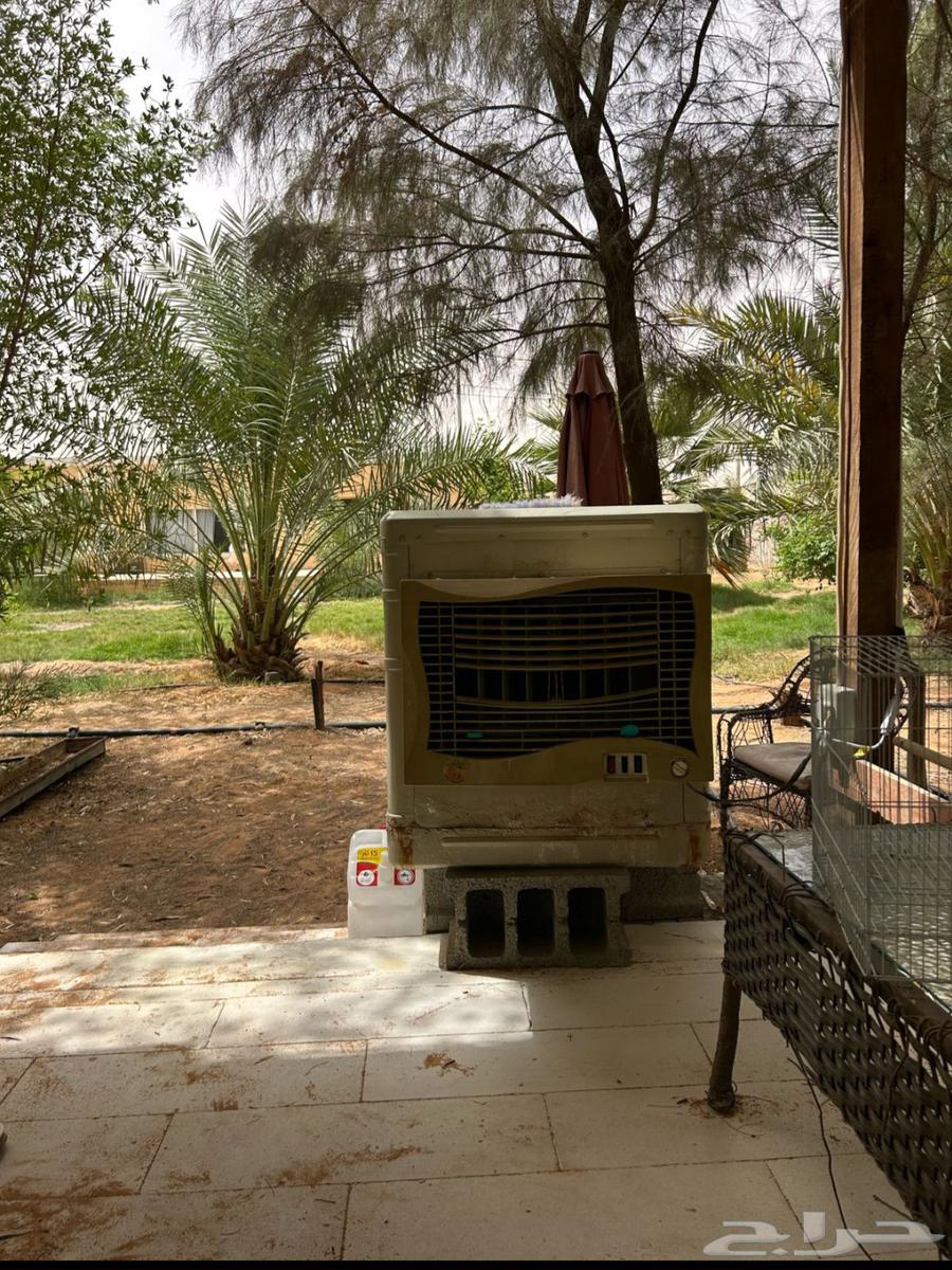 Daily rental rest house in Um Sheeh63612285643906114