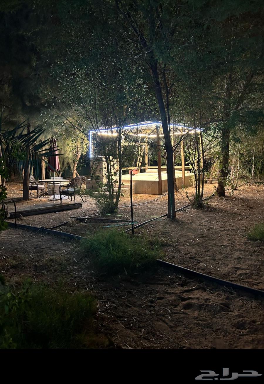 Daily rental rest house in Um Sheeh63612285643906113