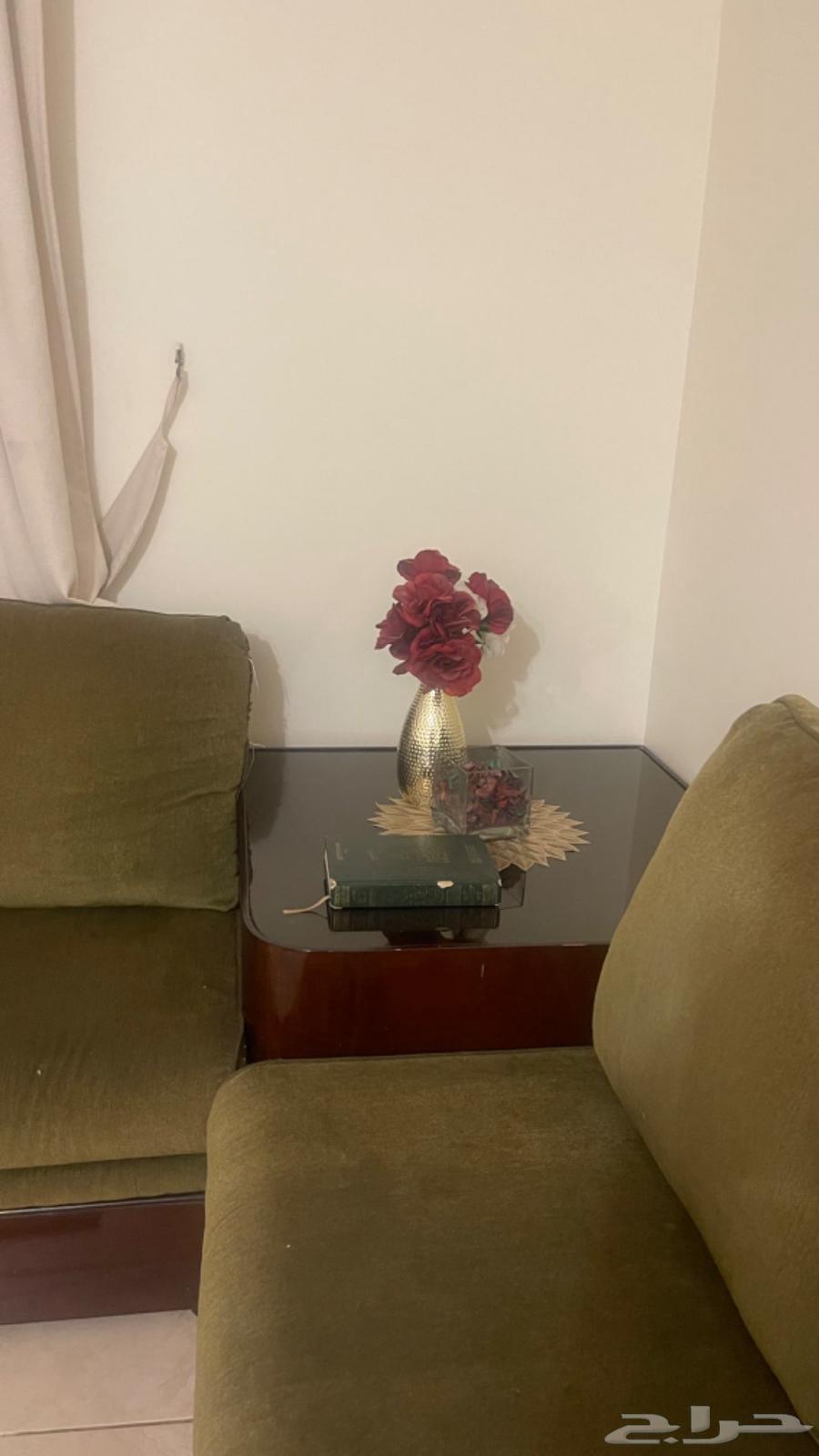 Sofa and table63730500197762113