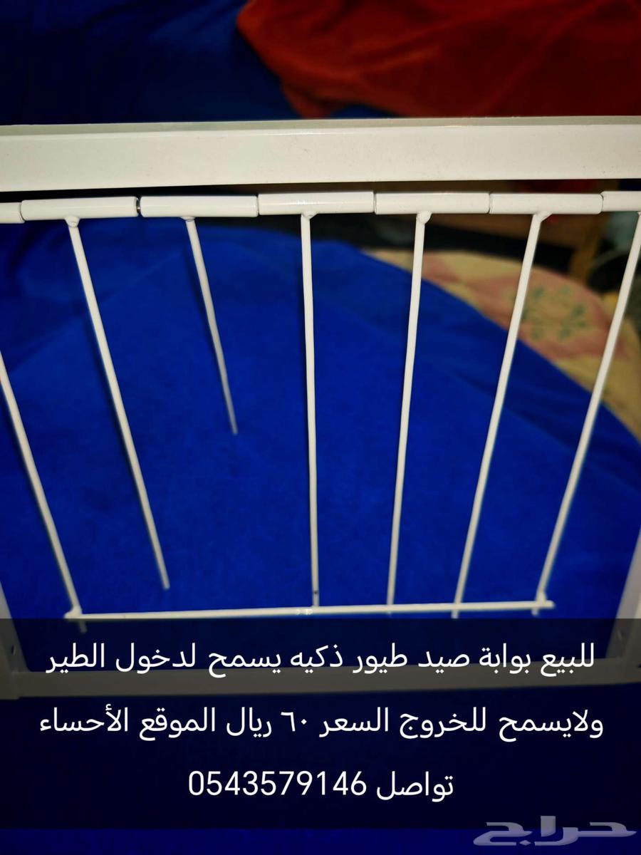 بوابة صيد الطيور (فخ)63755589980675111