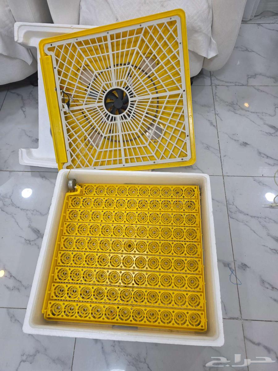 فقاسة 98 بيضة   وكيلها بالرياض موجود63756955332353111