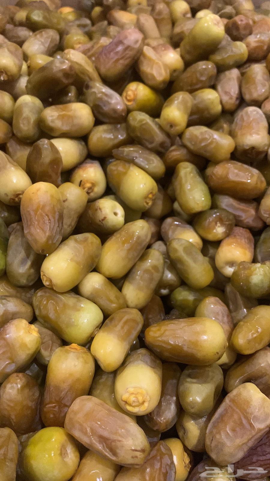 Carton of Medjool dates for 10 SAR63762881868162110