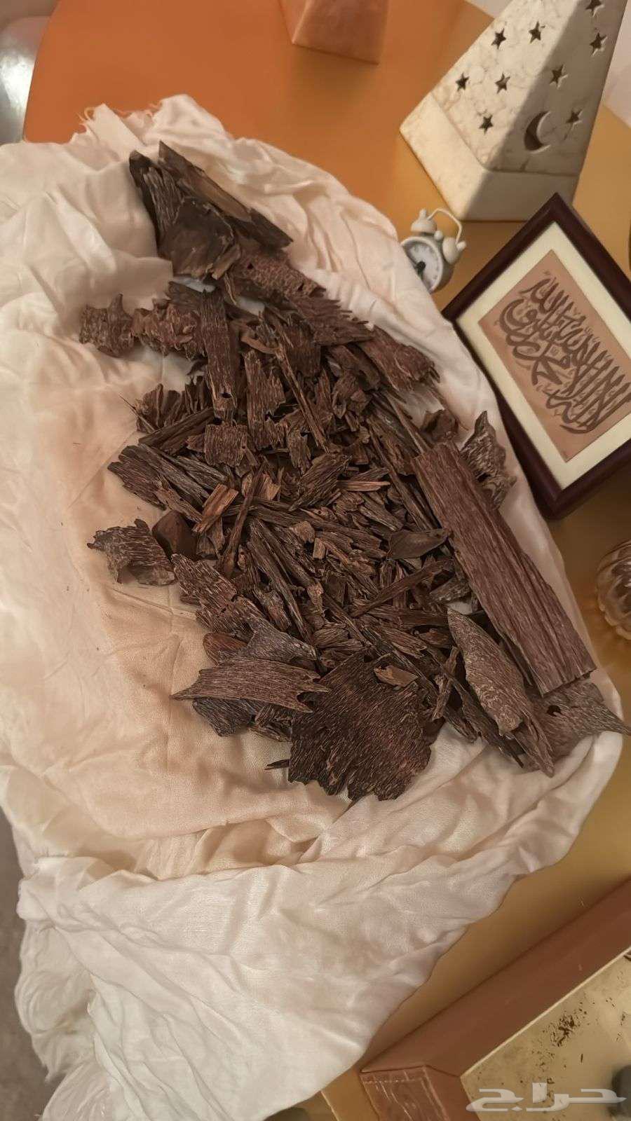 عود طبيعي مخزن منذ 7 سنوات63753336515459111