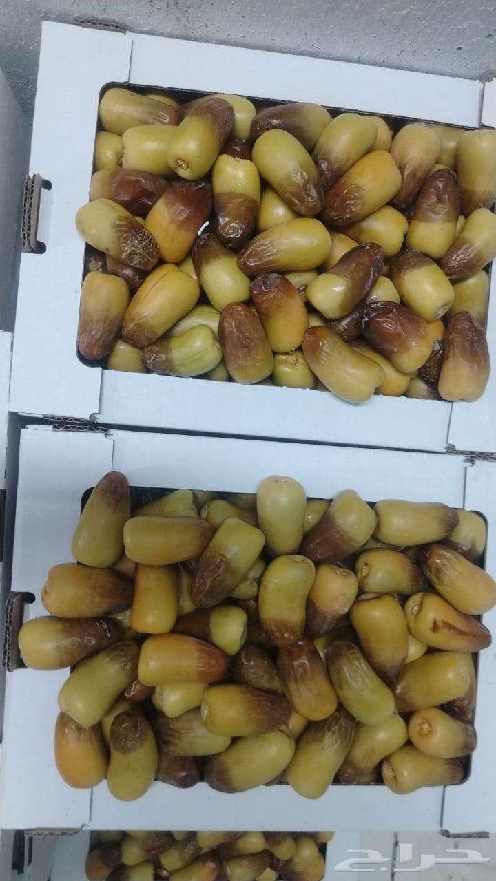 رطب روثان برني العيص الفخر درجه اولى63772001933954110