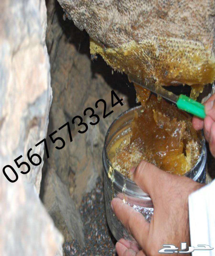 خلطة عسل سدر جبلي ومحفز على الأنجاب بمشيئة الله63773133640579111
