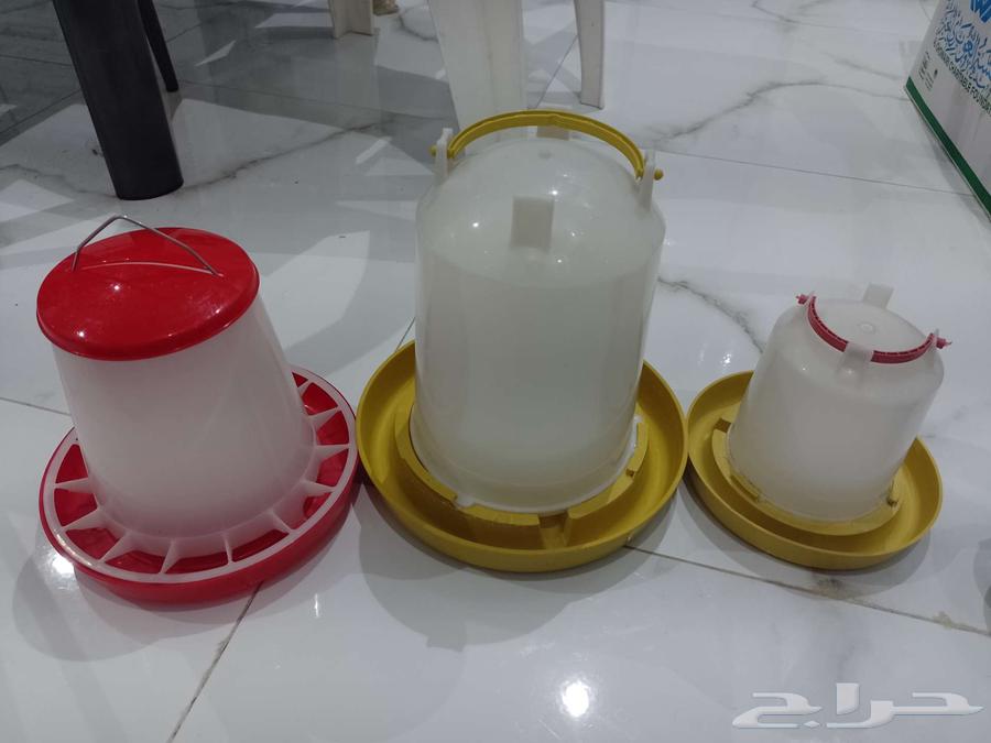 شبك طيور وشربات ماء وعلبة طعام للبيع63776404947329111