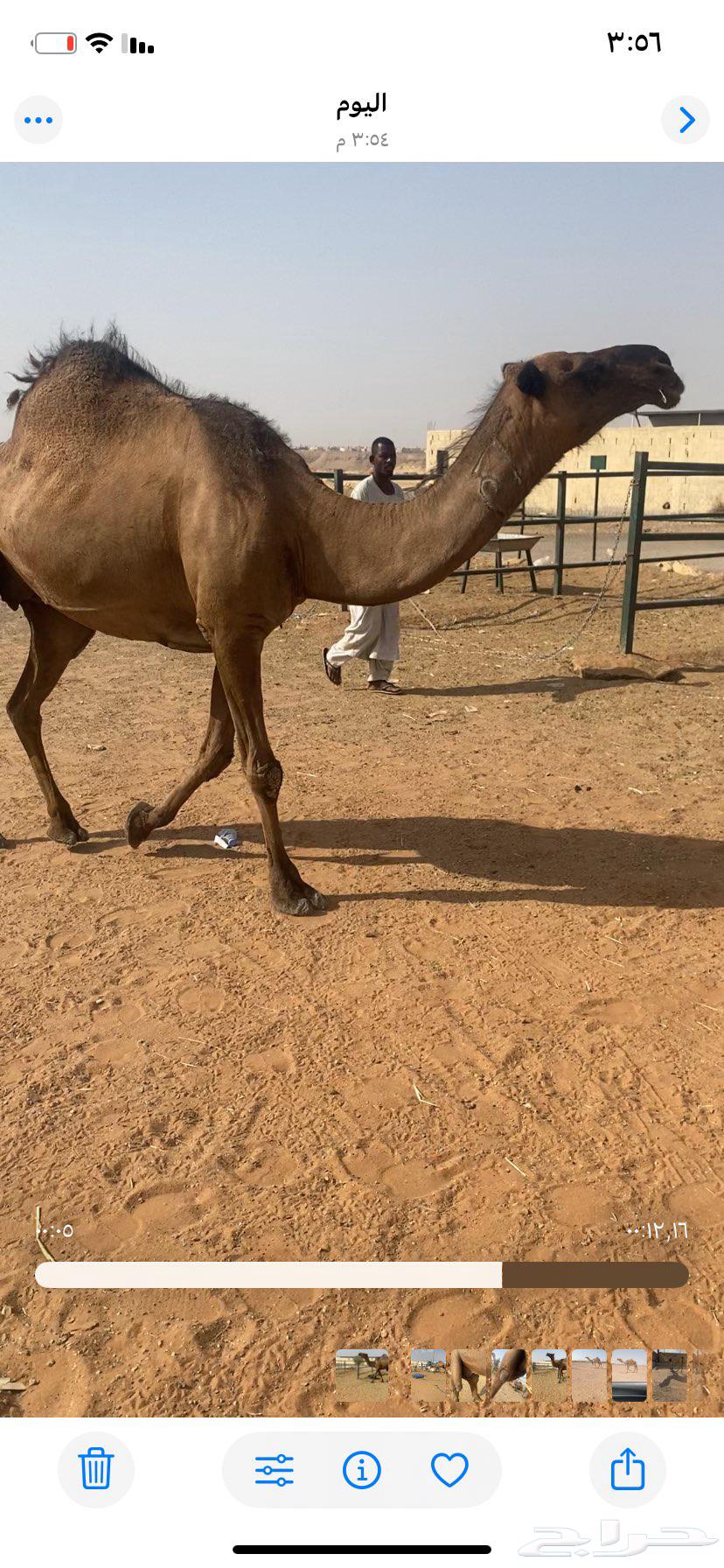 ضريبه صفرا دبيانيهه63781181763587111
