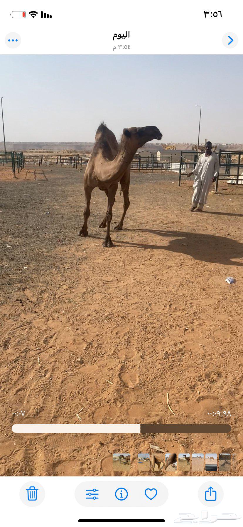 ضريبه صفرا دبيانيهه63781181763587112