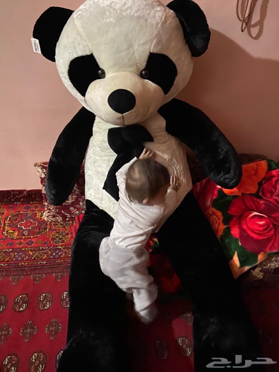 لعبه دب الباندا63781598933891111