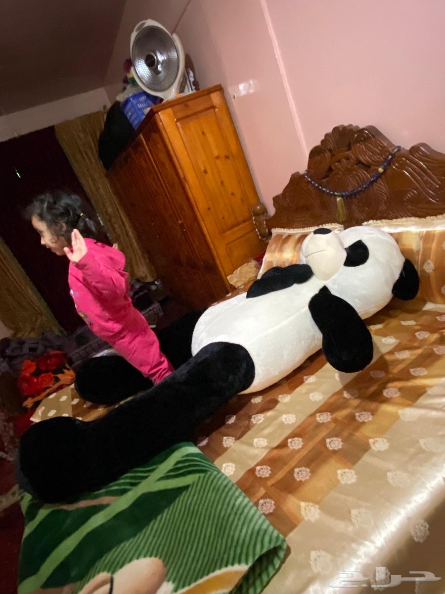 لعبه دب الباندا63781598933891112