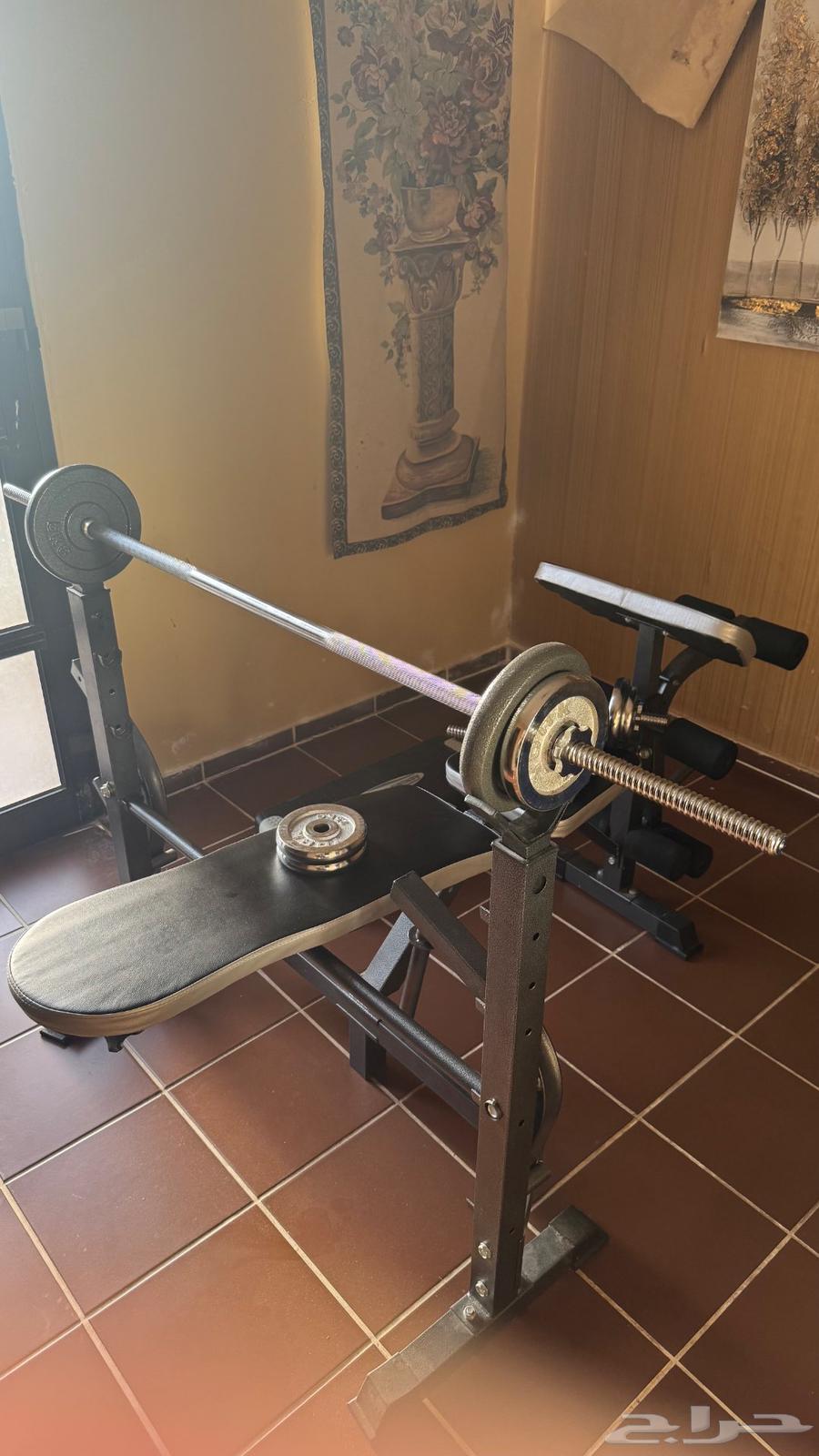 اجهزه حديد دمبل بينش بريس pull up  اوزان63783024275714110