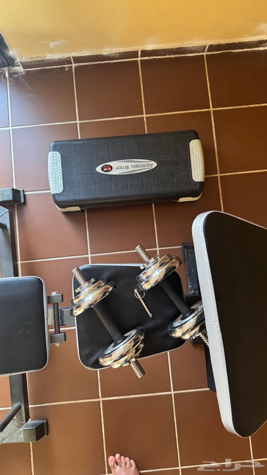 اجهزه حديد دمبل بينش بريس pull up  اوزان63783024275714111