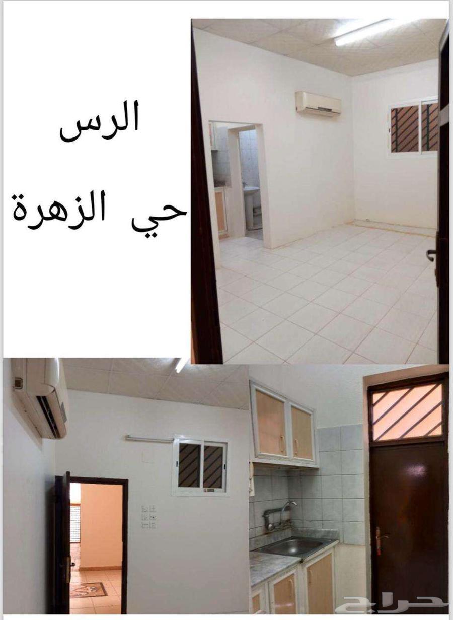 Bachelor apartments for rent in Al-Rass, Al-Zahraa63612324721154111