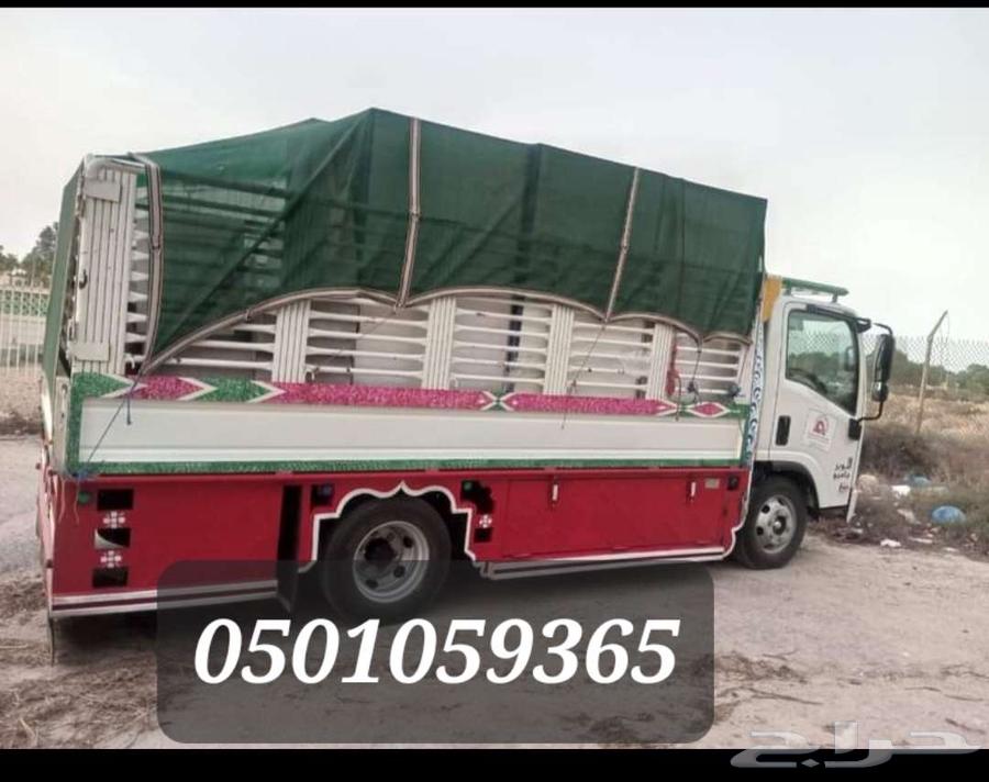 نقل عفش نقل اثاث فك وتركيب64161848285954113