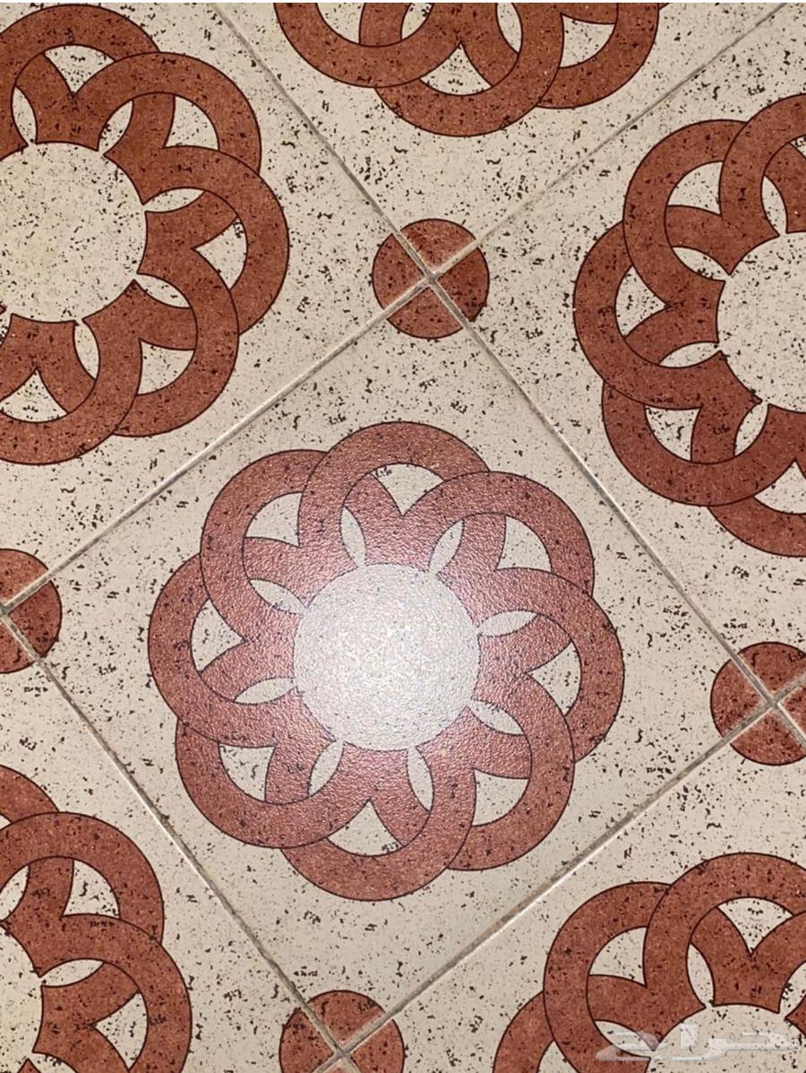 (Reward for whoever finds it) I'm looking for a tile of the same shape63613927915395110