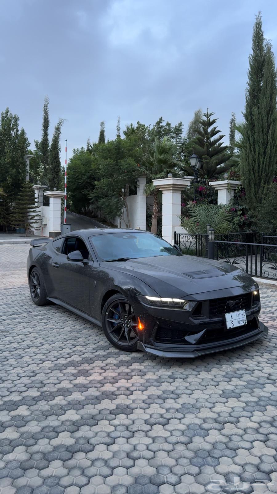 2024 Mustang Dark Horse63654907741313110