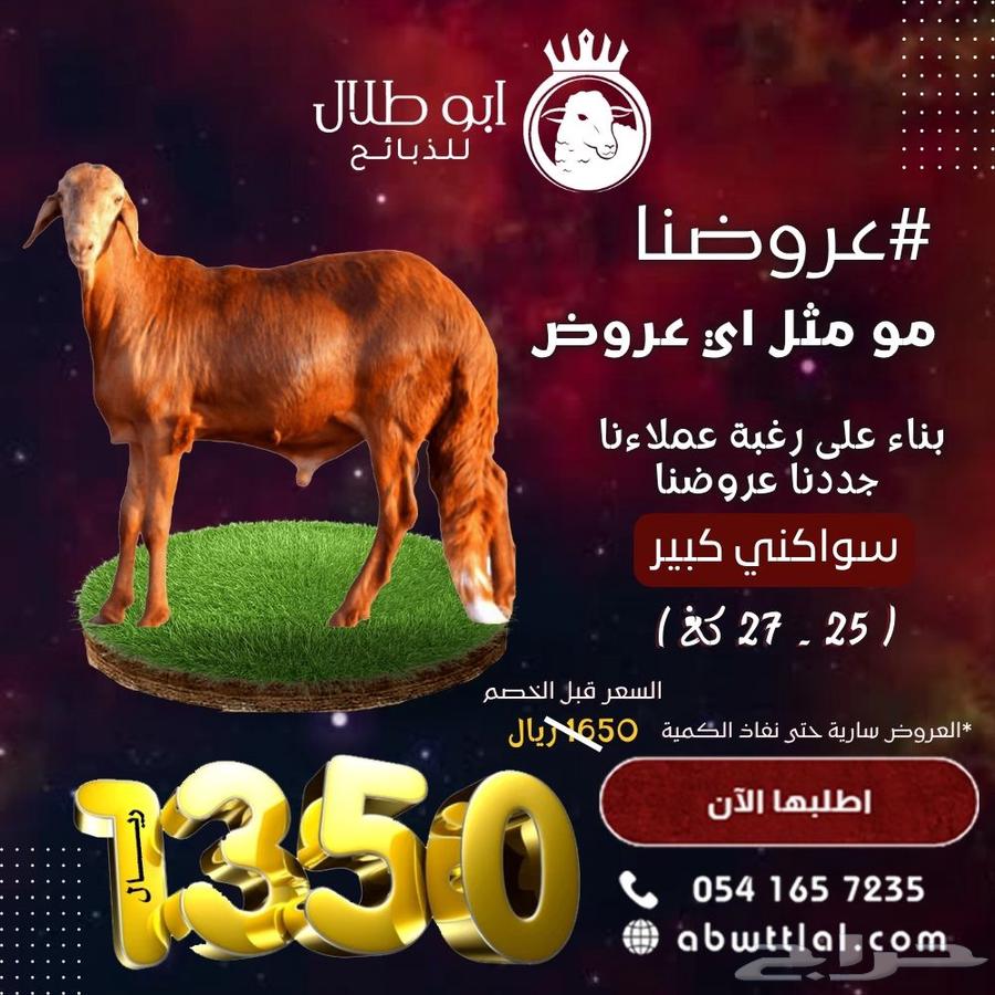 خروف سواكني ب999 ريال بس63704748296066112
