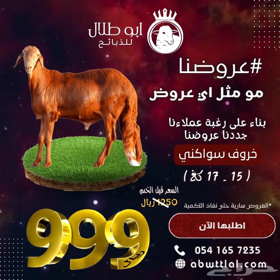 خروف سواكني ب999 ريال بس63704748296066110
