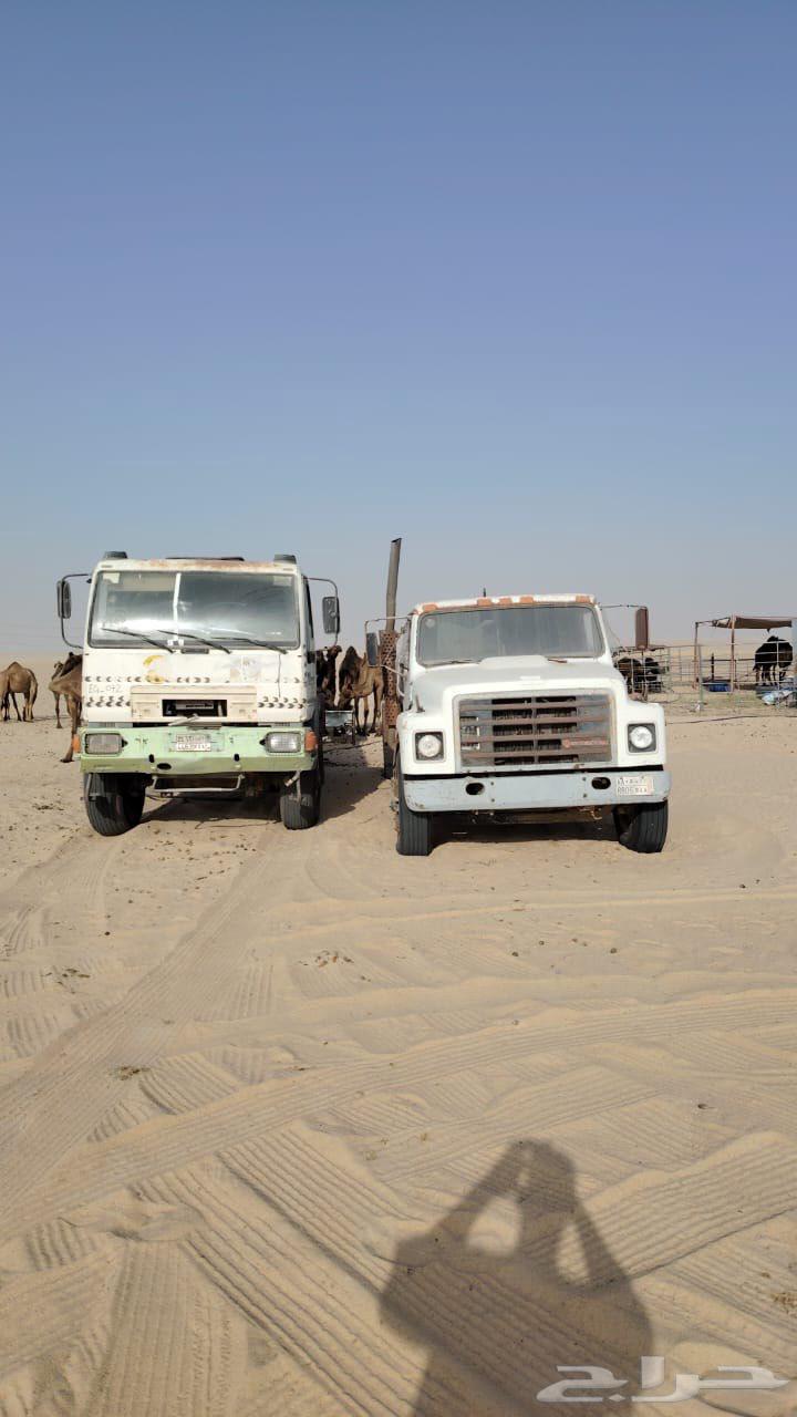 وايت عايدي مسقط64145016228610113