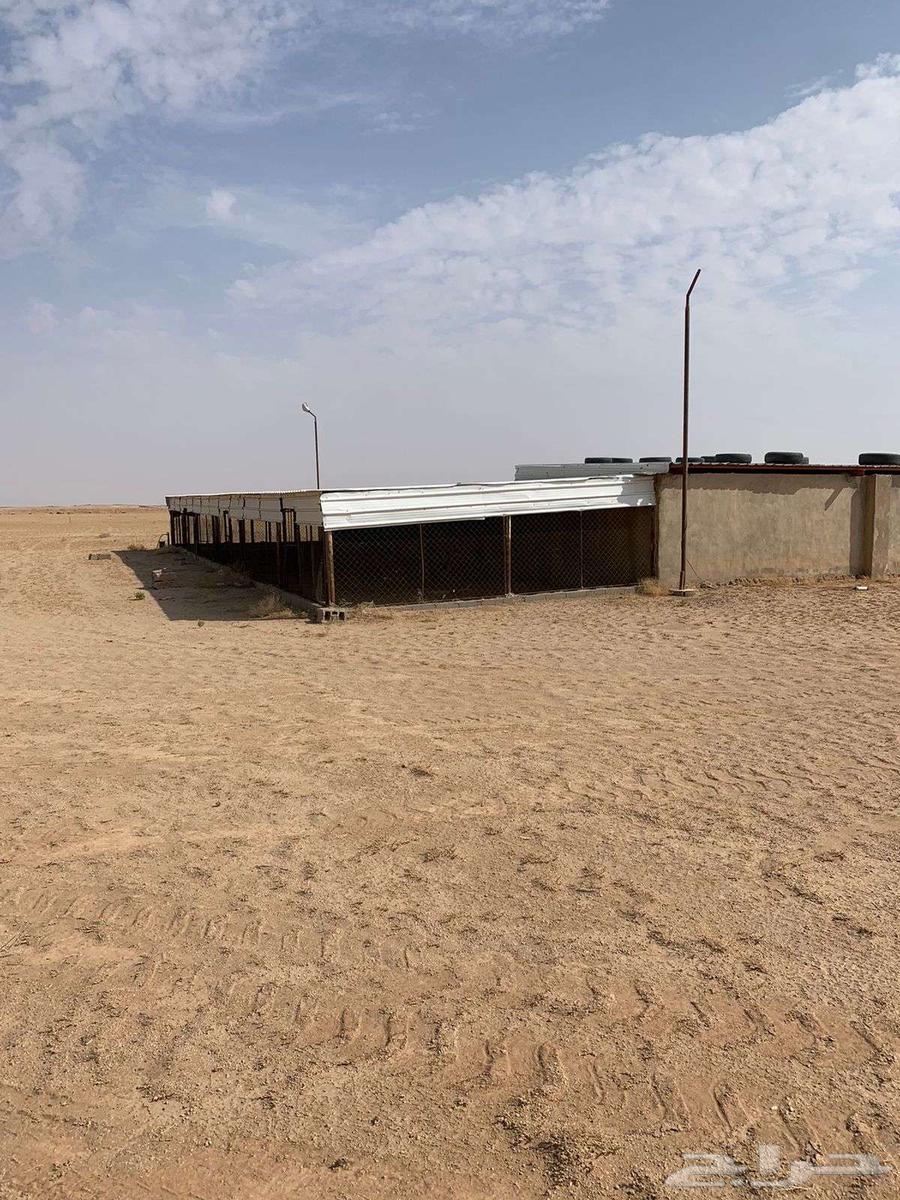 مزرعة للإيجار