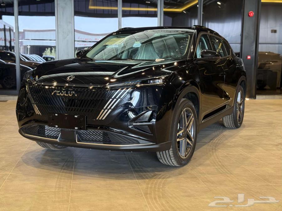 دونج فينج ميج 202564153572979331111