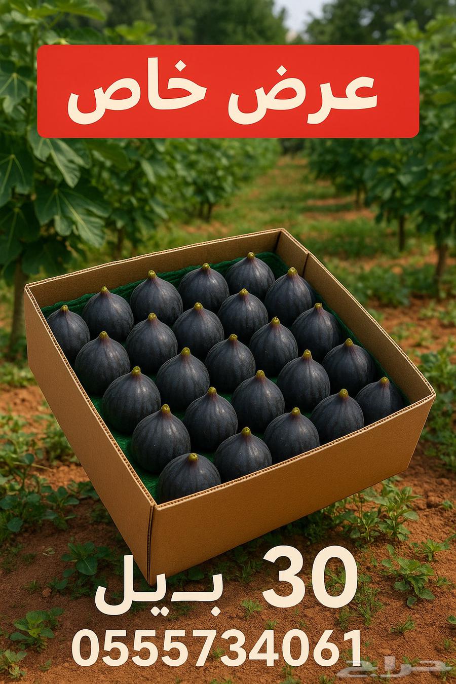 Fresh figs from the farm63939921365123110