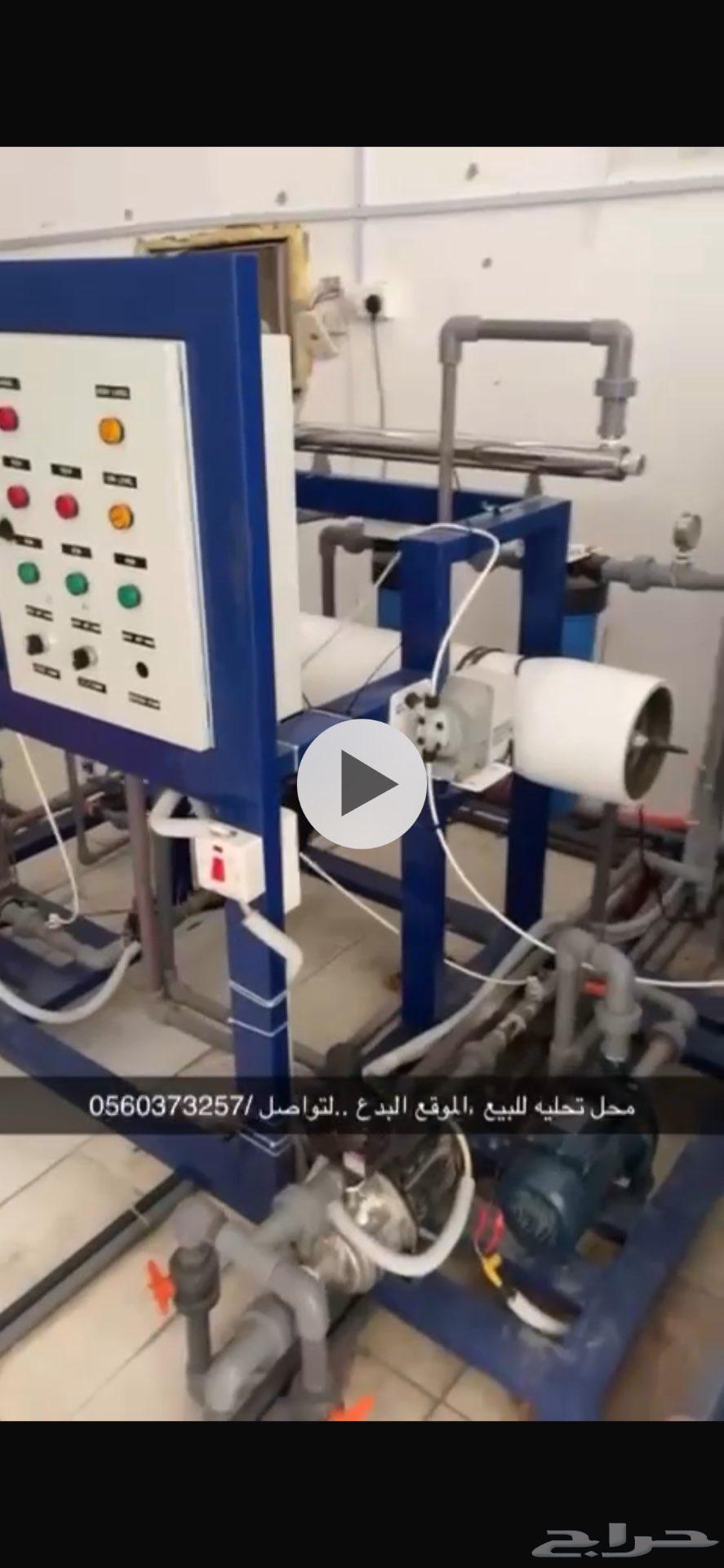 البدع السوق64228893922434110