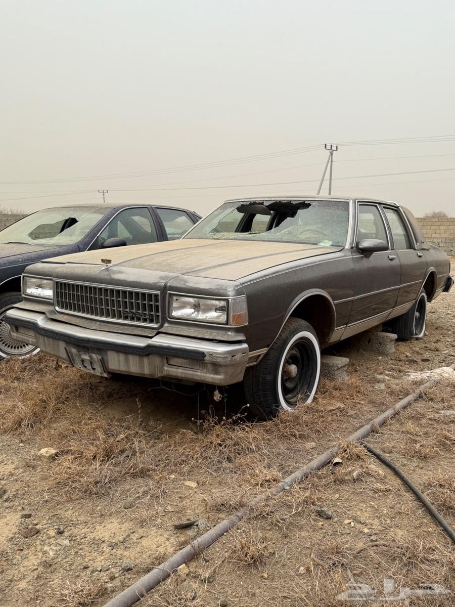 سيارتين كابرس للبيع كامل تشليح فقط64216756063105113