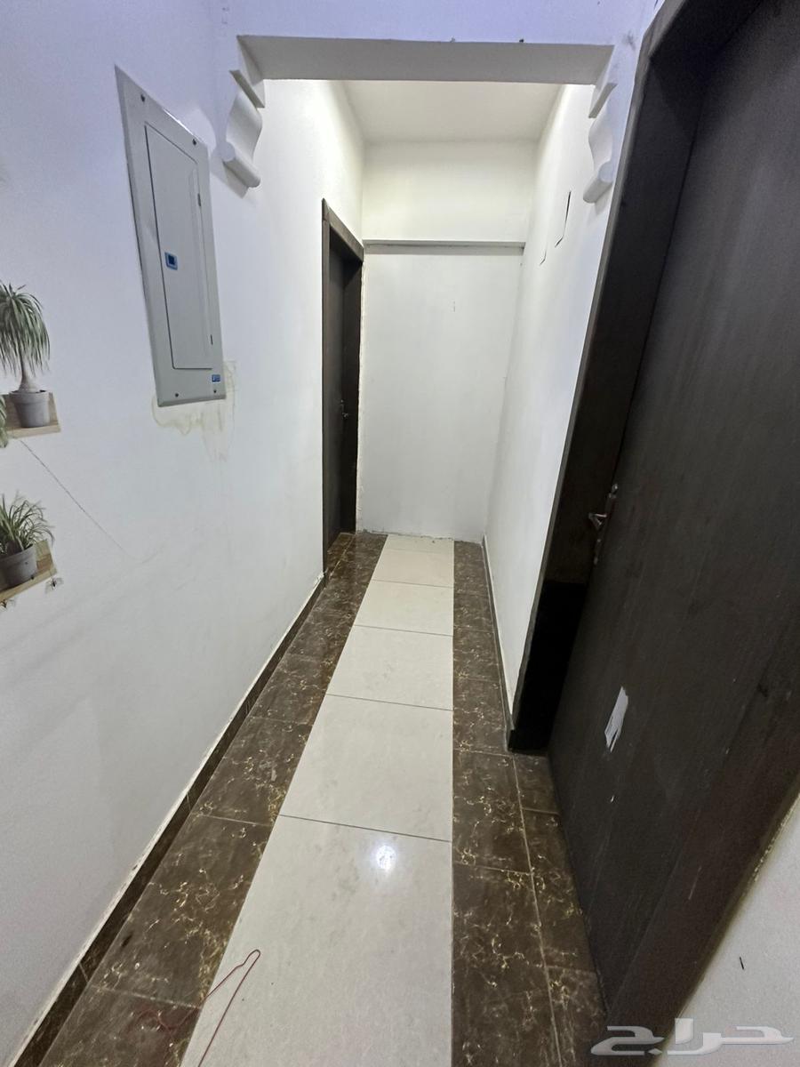 شقَّة صغيرة (استوديو) للإيجار