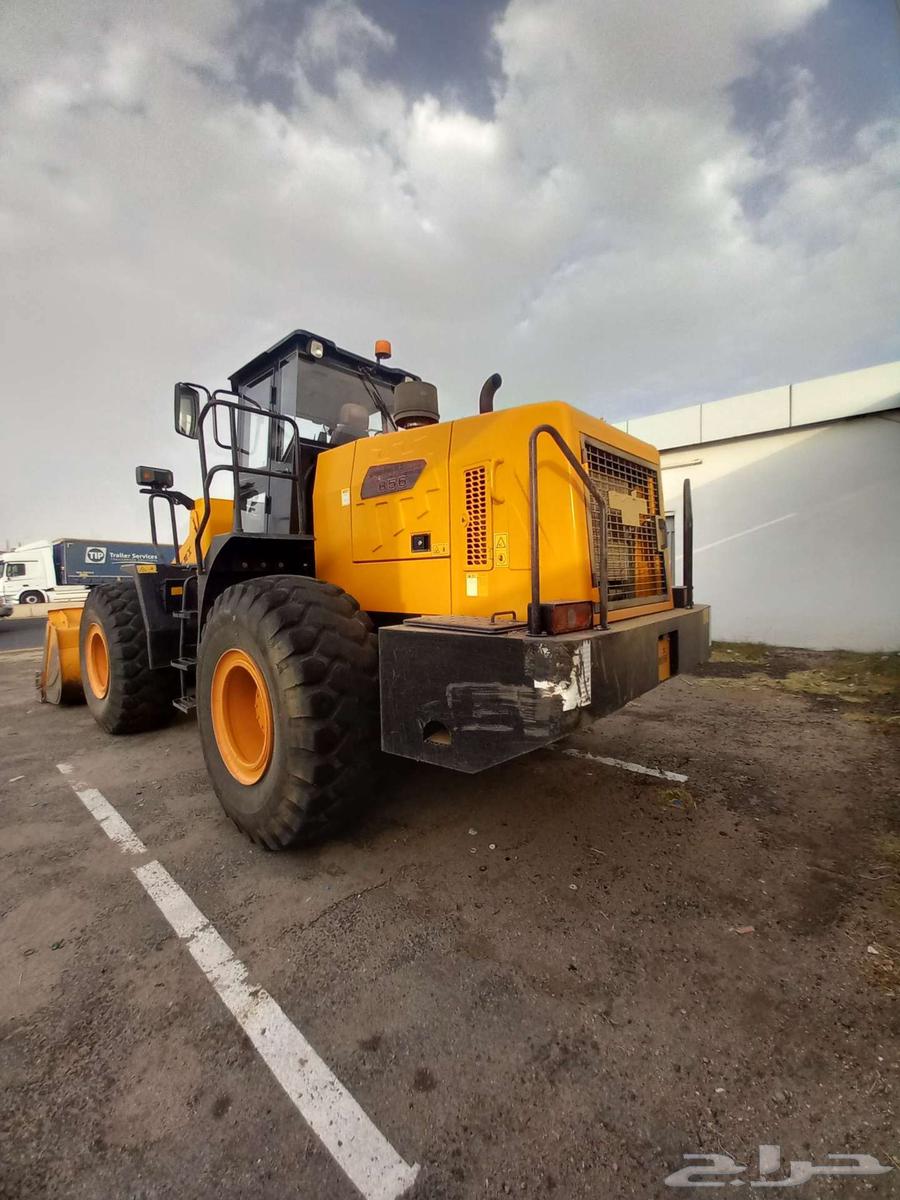 شيول لونك اينق 202164219164680707113