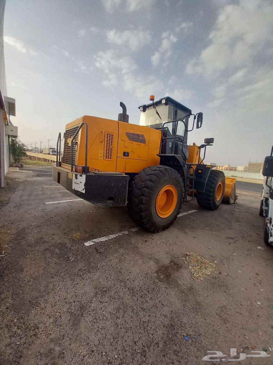 شيول لونك اينق 202164219164680707111