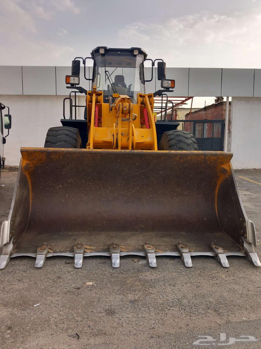 شيول لونك اينق 202164219164680707112