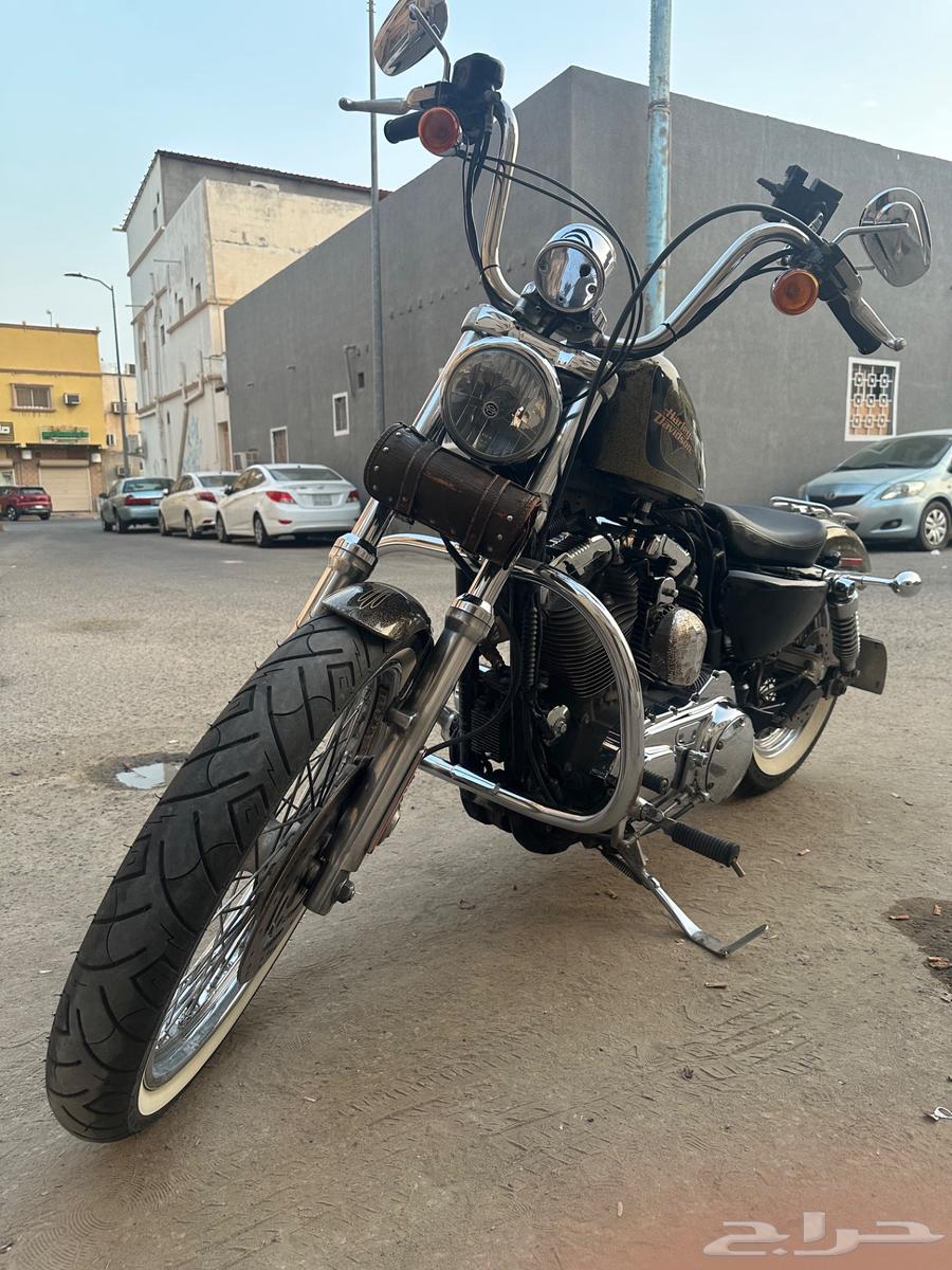 Harley Spster 72 1200cc Model 2013 Version 7264222497608833111