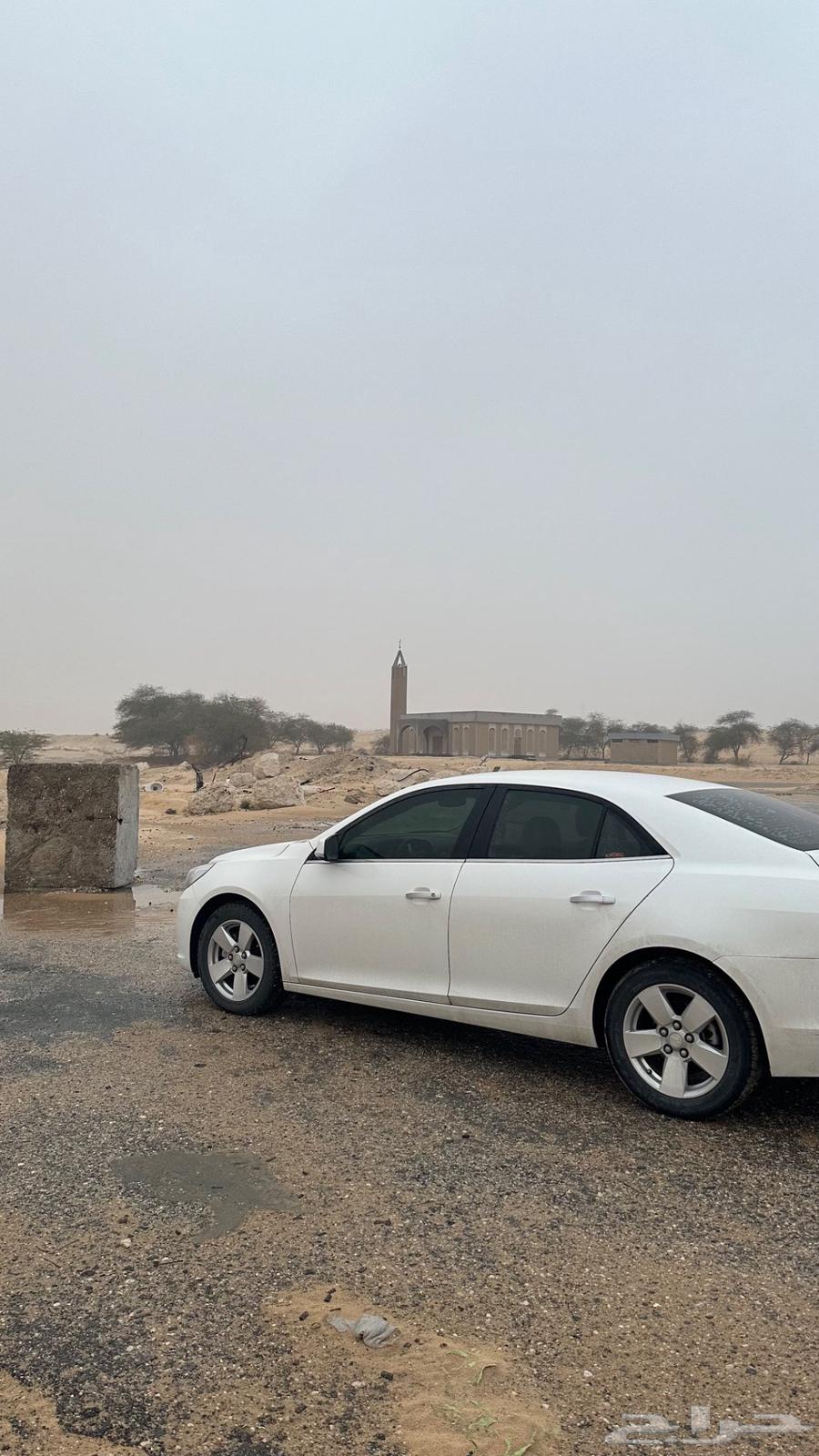 ماليبوا lt201664211892859522111