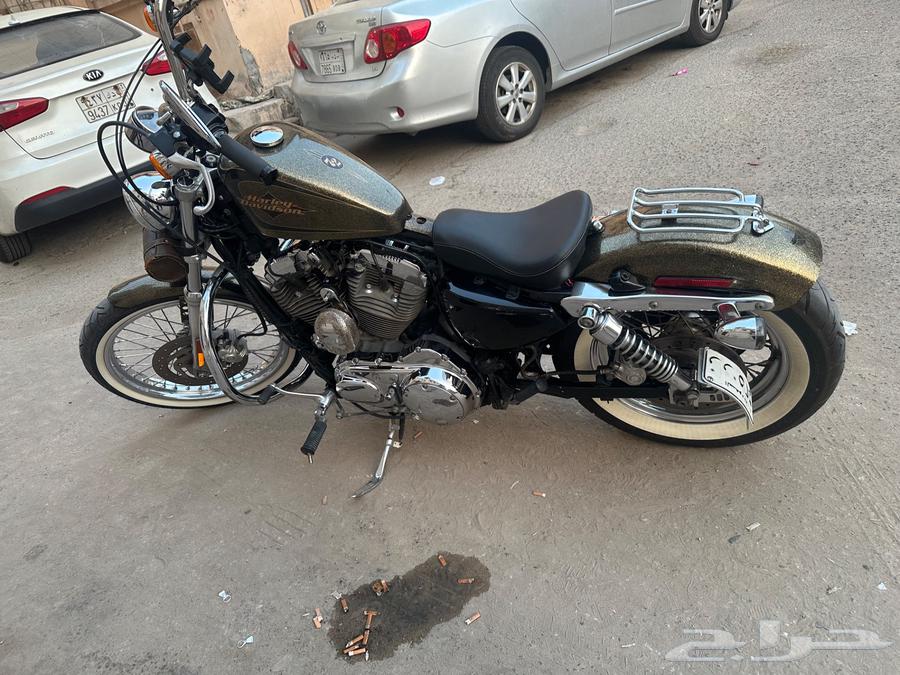 Harley Spster 72 1200cc Model 2013 Version 7264222497608833112