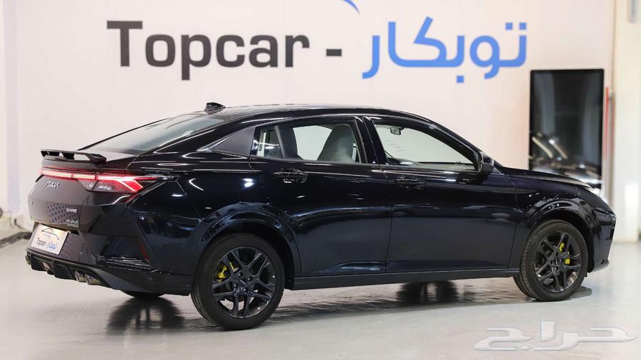 Dongfeng Shine E1 and E2 Model 202564235732989569112