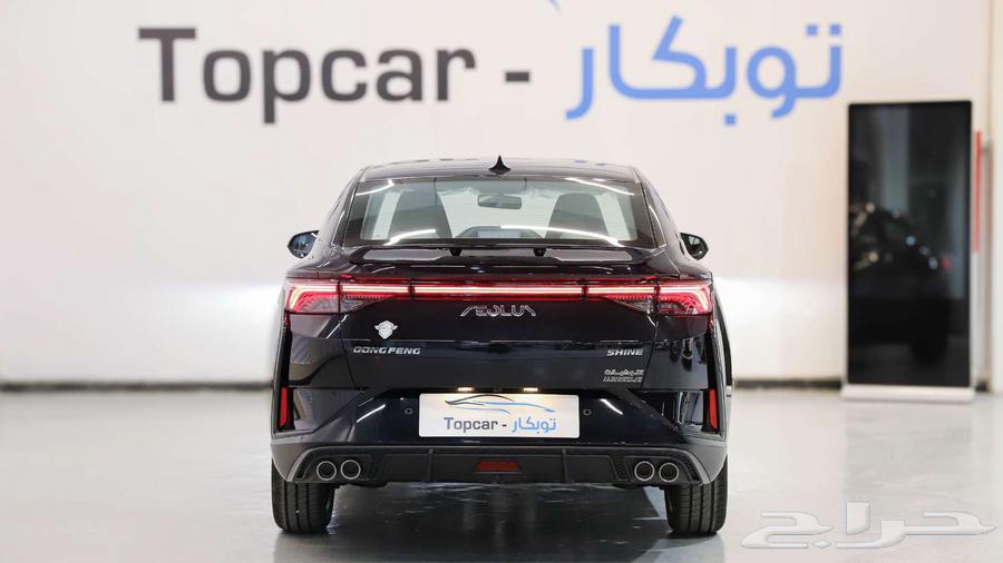 Dongfeng Shine E1 and E2 Model 202564235732989569113