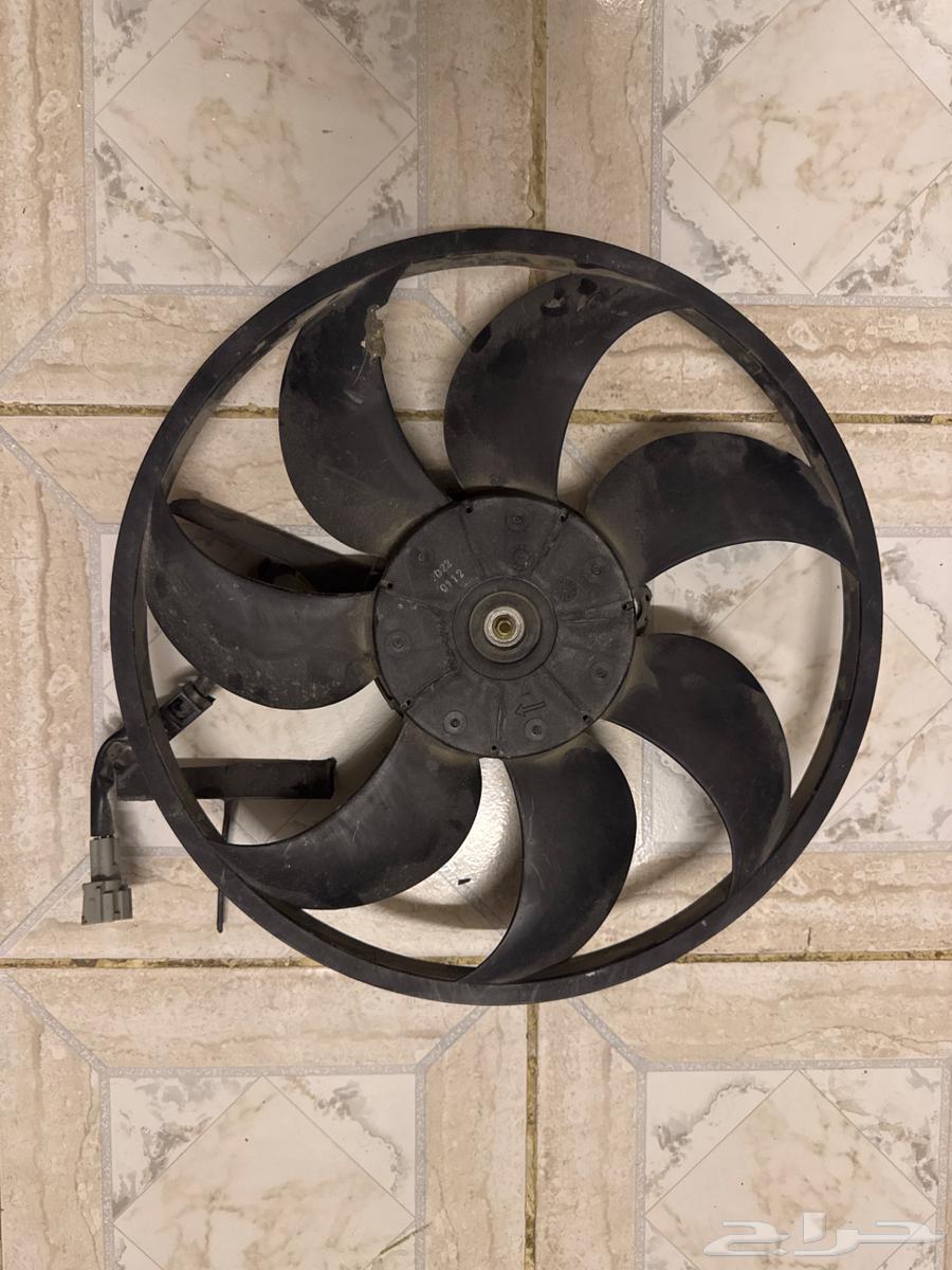 رينو كوليوس 202364294028843649110