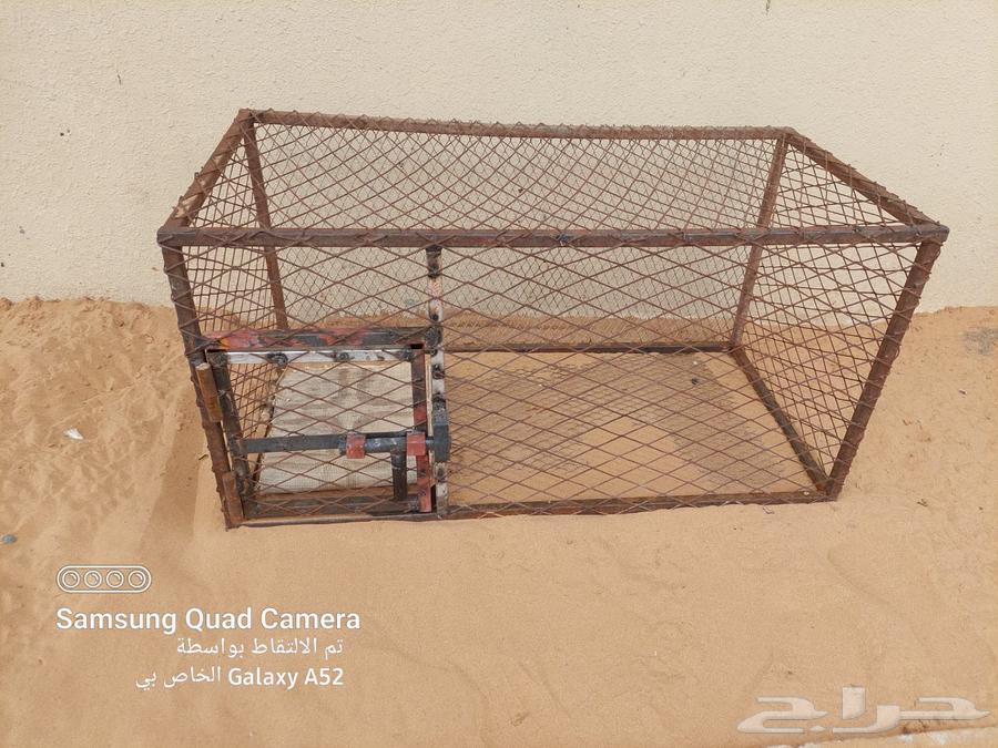 شبك طيور او دجاج للبيع63984810089474113