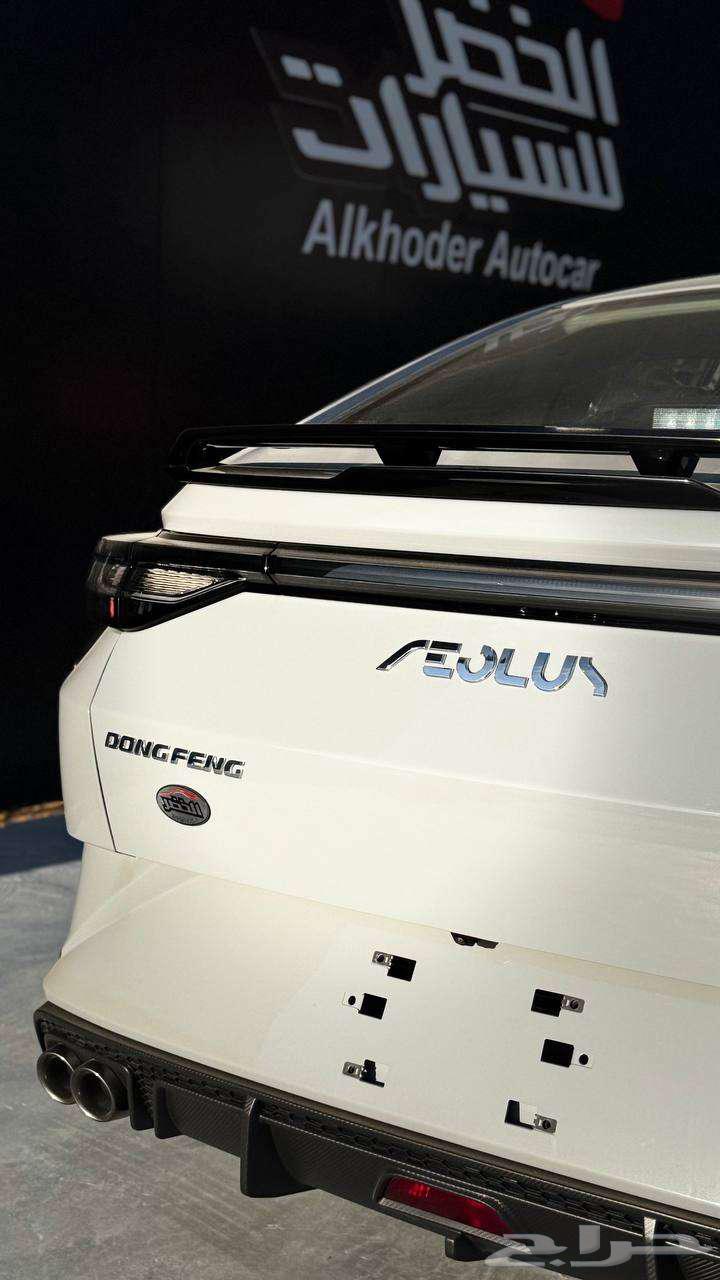 دونج فينج شاين 2025 لدي شركة الخضر64295394113794113