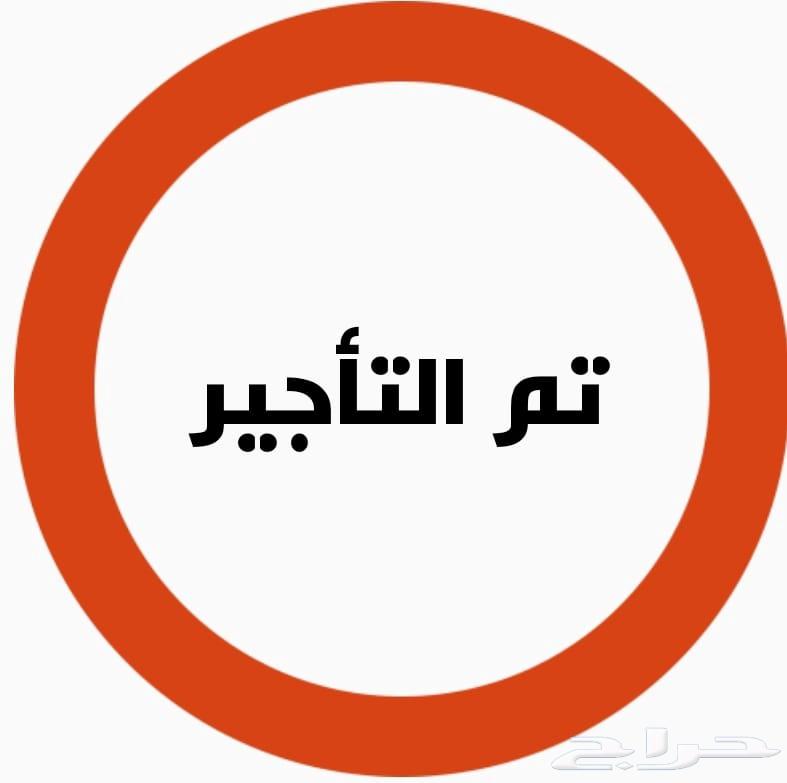 شقة للإيجار