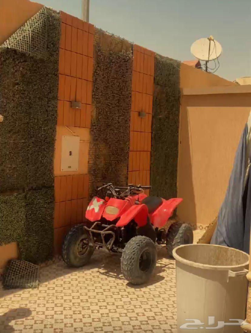 دباب سويدي 201964317948966145111