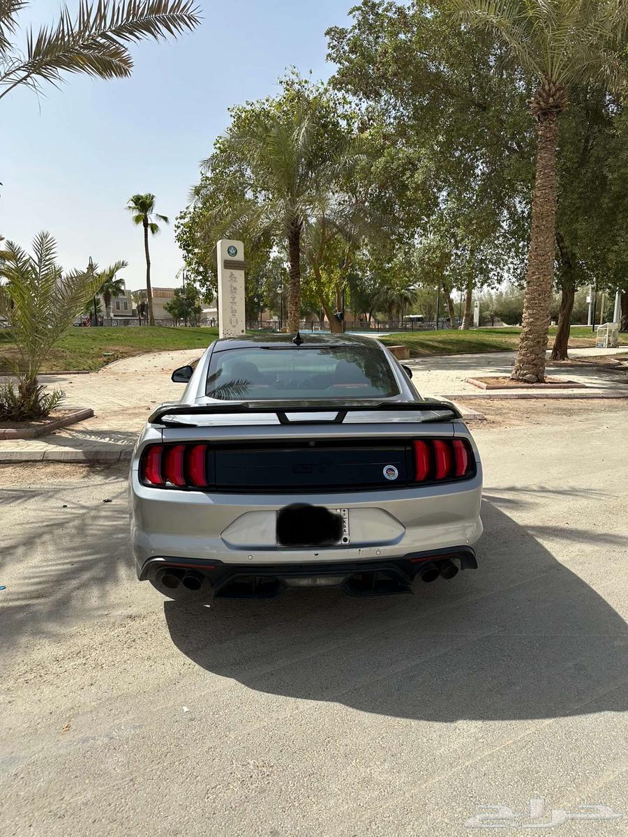 موستنق جي تي GT Mustang بلاك اديشين 2020 توكيلات الجزيرة64344243077379110